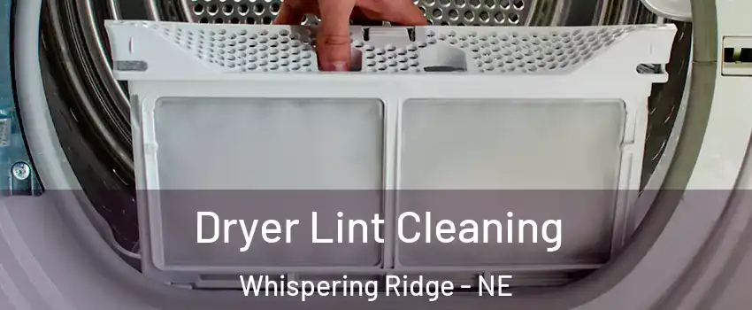 Dryer Lint Cleaning Whispering Ridge - NE