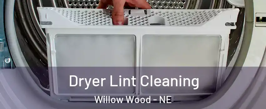 Dryer Lint Cleaning Willow Wood - NE