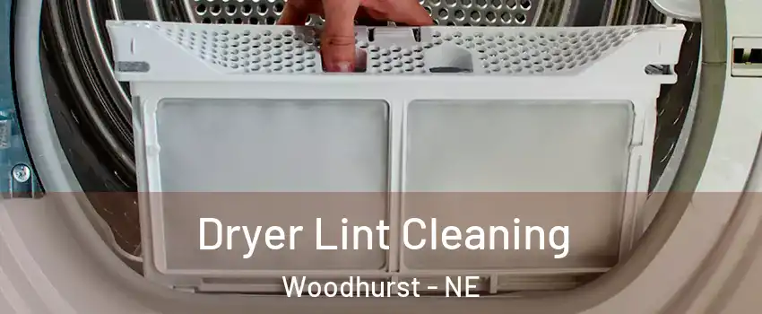 Dryer Lint Cleaning Woodhurst - NE