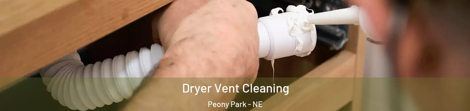 Dryer Vent Cleaning Peony Park - NE