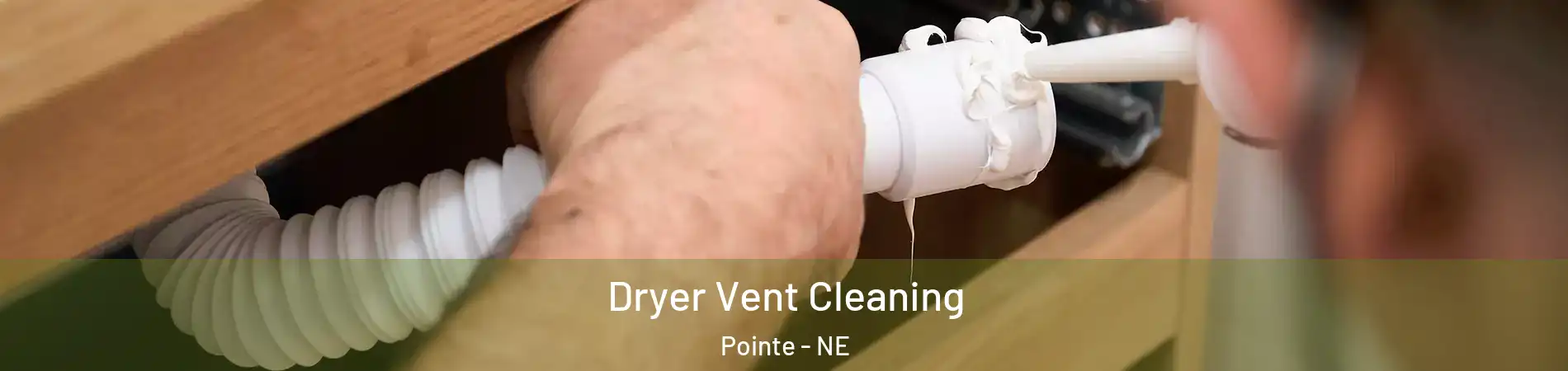 Dryer Vent Cleaning Pointe - NE