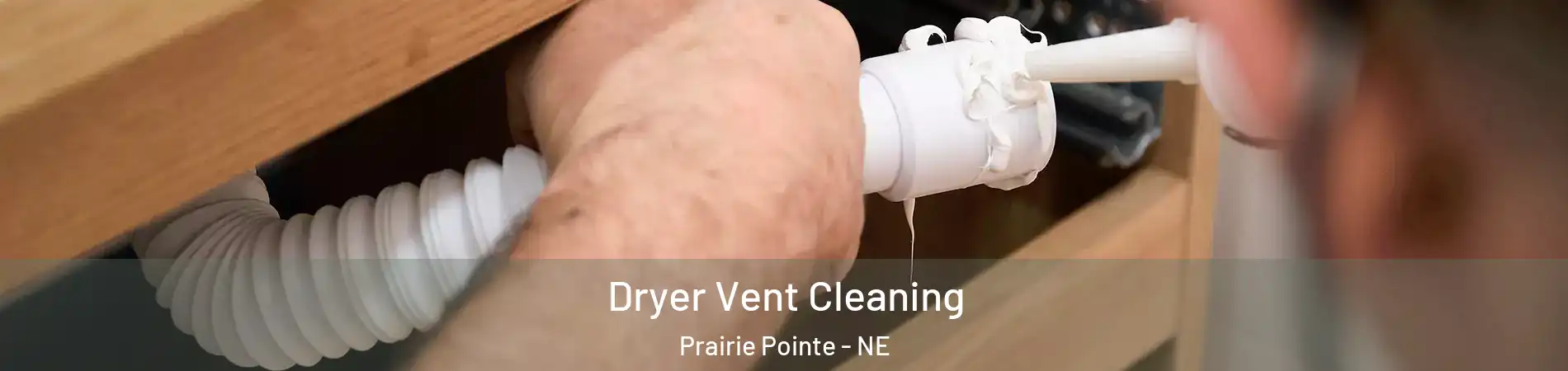 Dryer Vent Cleaning Prairie Pointe - NE