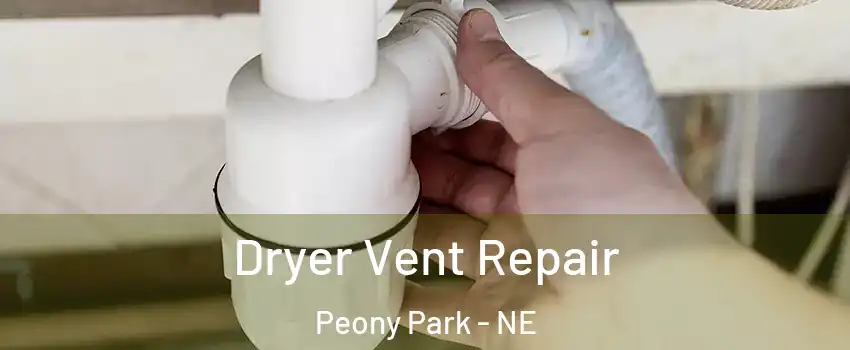 Dryer Vent Repair Peony Park - NE