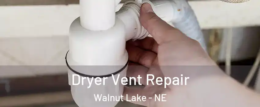 Dryer Vent Repair Walnut Lake - NE