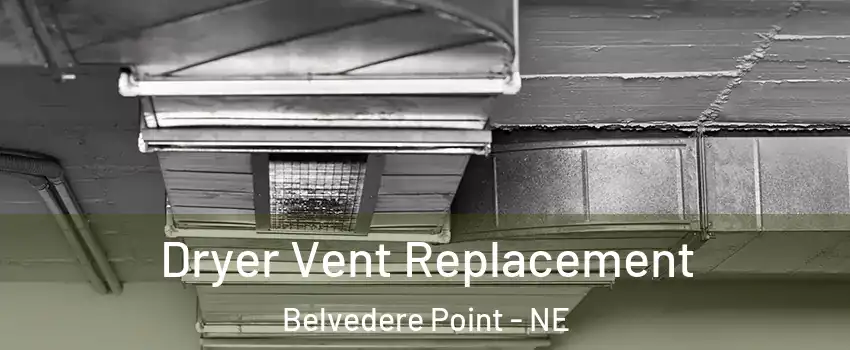 Dryer Vent Replacement Belvedere Point - NE