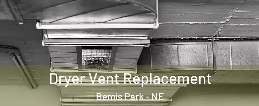 Dryer Vent Replacement Bemis Park - NE