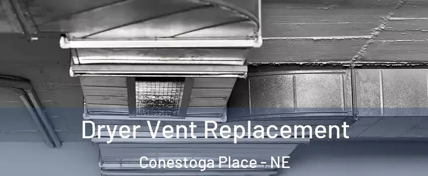 Dryer Vent Replacement Conestoga Place - NE