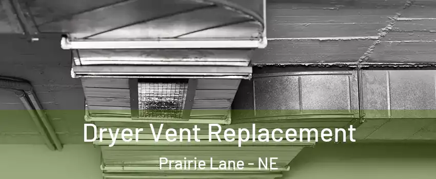 Dryer Vent Replacement Prairie Lane - NE