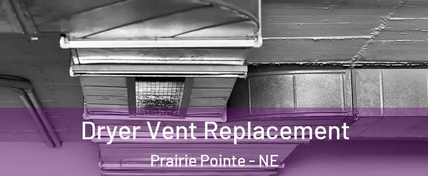 Dryer Vent Replacement Prairie Pointe - NE