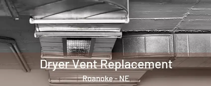 Dryer Vent Replacement Roanoke - NE