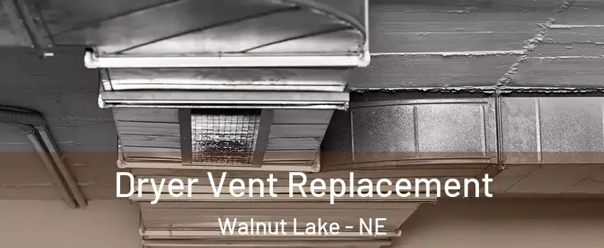 Dryer Vent Replacement Walnut Lake - NE