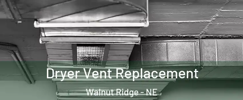 Dryer Vent Replacement Walnut Ridge - NE
