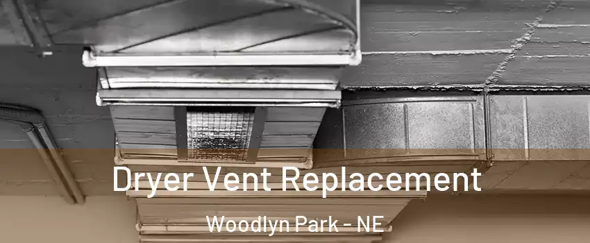 Dryer Vent Replacement Woodlyn Park - NE
