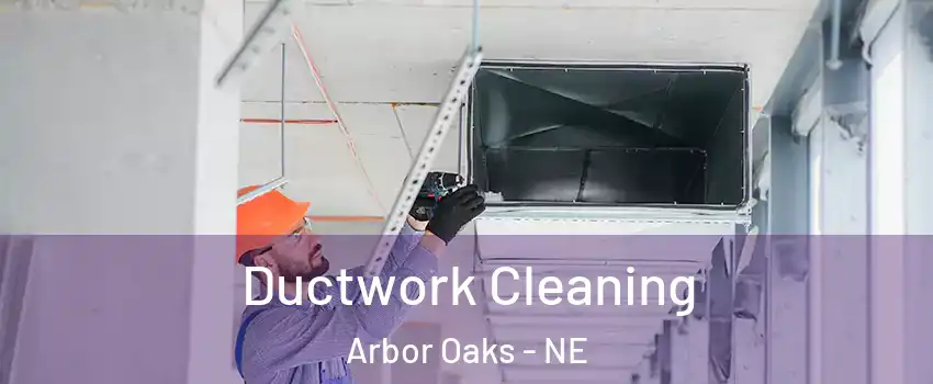 Ductwork Cleaning Arbor Oaks - NE