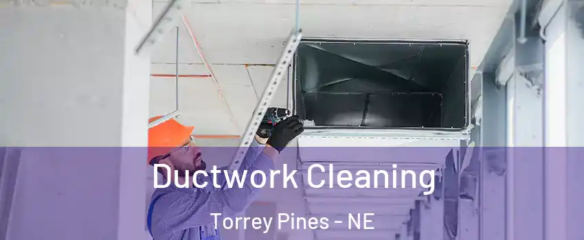 Ductwork Cleaning Torrey Pines - NE