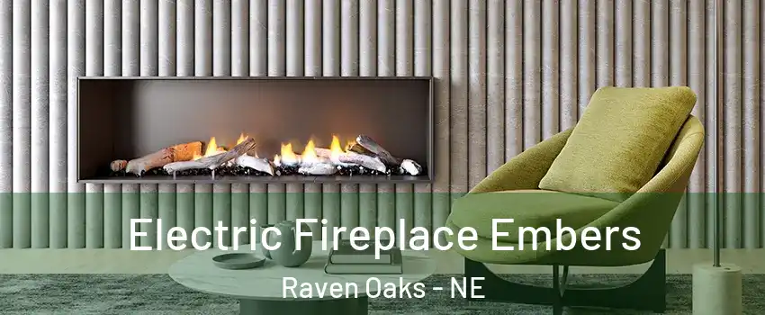 Electric Fireplace Embers Raven Oaks - NE
