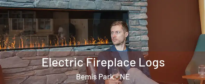 Electric Fireplace Logs Bemis Park - NE