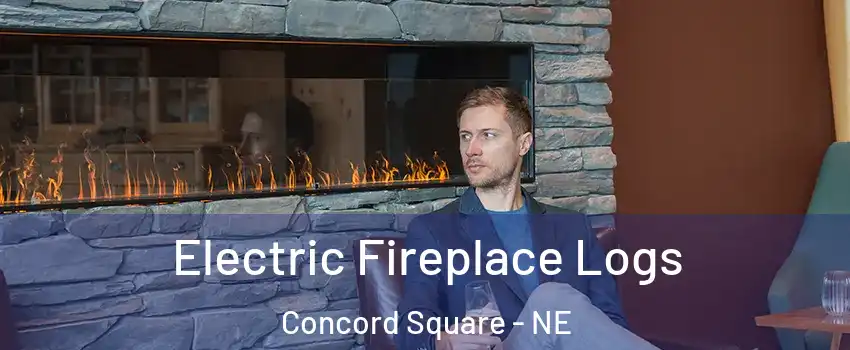 Electric Fireplace Logs Concord Square - NE