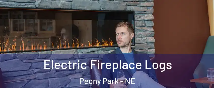 Electric Fireplace Logs Peony Park - NE