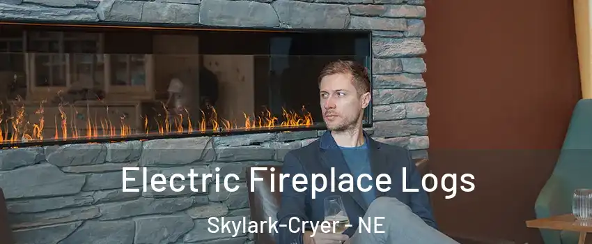 Electric Fireplace Logs Skylark-Cryer - NE