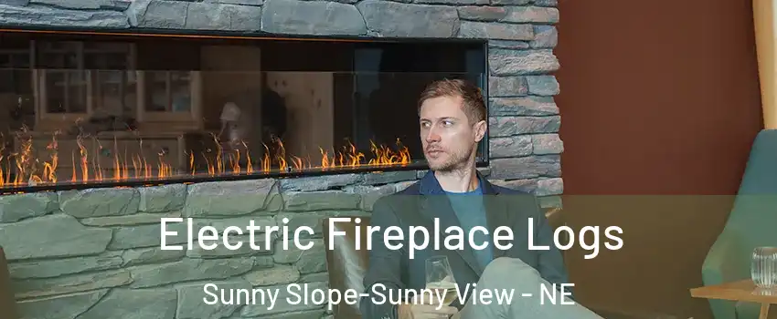 Electric Fireplace Logs Sunny Slope-Sunny View - NE