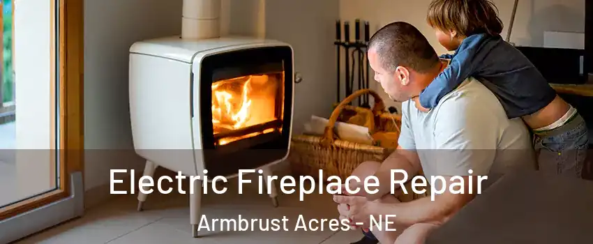 Electric Fireplace Repair Armbrust Acres - NE