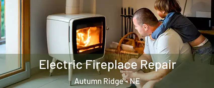 Electric Fireplace Repair Autumn Ridge - NE