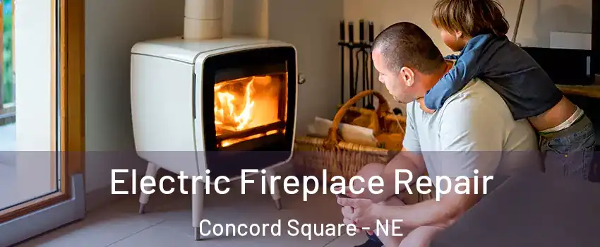 Electric Fireplace Repair Concord Square - NE