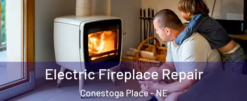 Electric Fireplace Repair Conestoga Place - NE