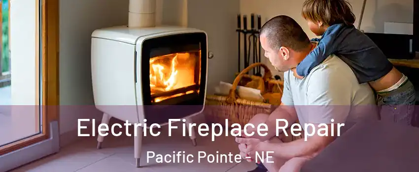 Electric Fireplace Repair Pacific Pointe - NE