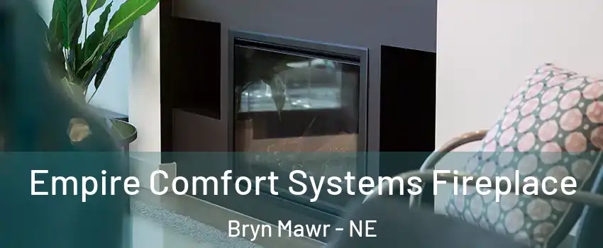 Empire Comfort Systems Fireplace Bryn Mawr - NE