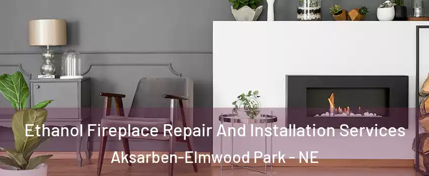 Ethanol Fireplace Repair And Installation Services Aksarben-Elmwood Park - NE