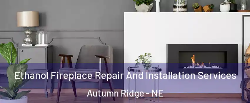 Ethanol Fireplace Repair And Installation Services Autumn Ridge - NE