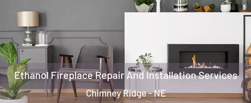 Ethanol Fireplace Repair And Installation Services Chimney Ridge - NE