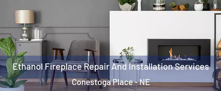Ethanol Fireplace Repair And Installation Services Conestoga Place - NE