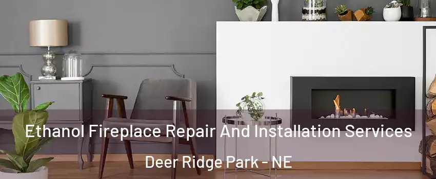 Ethanol Fireplace Repair And Installation Services Deer Ridge Park - NE