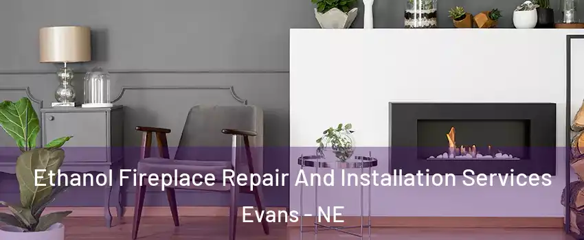 Ethanol Fireplace Repair And Installation Services Evans - NE