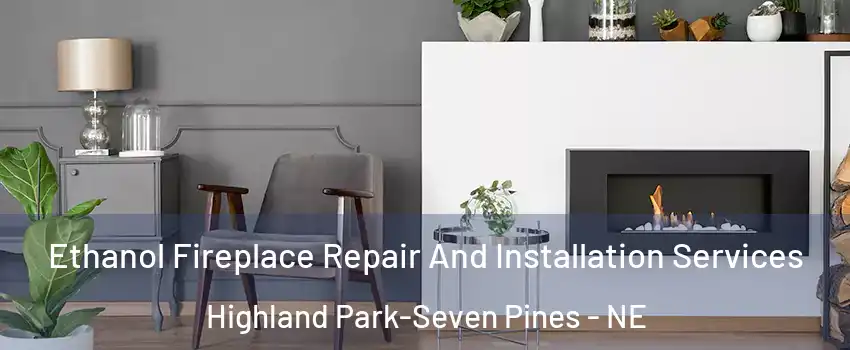 Ethanol Fireplace Repair And Installation Services Highland Park-Seven Pines - NE