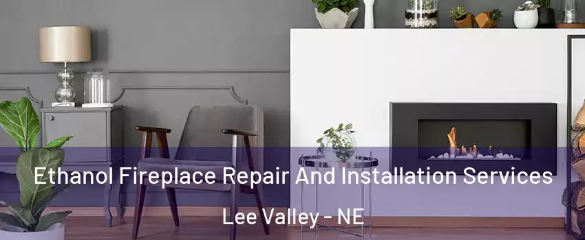 Ethanol Fireplace Repair And Installation Services Lee Valley - NE