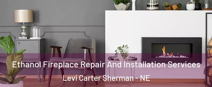 Ethanol Fireplace Repair And Installation Services Levi Carter Sherman - NE
