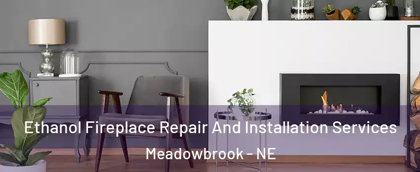 Ethanol Fireplace Repair And Installation Services Meadowbrook - NE