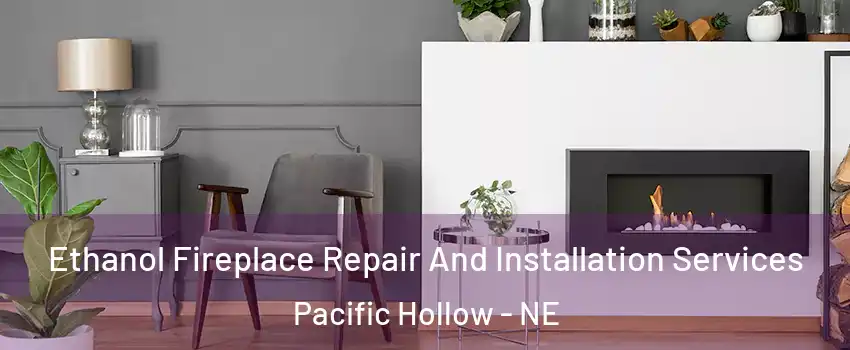 Ethanol Fireplace Repair And Installation Services Pacific Hollow - NE