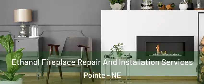 Ethanol Fireplace Repair And Installation Services Pointe - NE