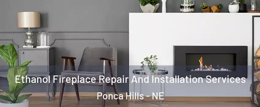 Ethanol Fireplace Repair And Installation Services Ponca Hills - NE