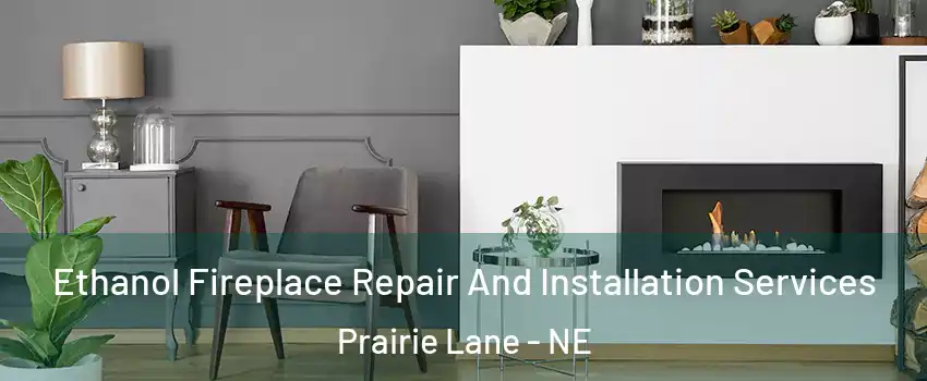 Ethanol Fireplace Repair And Installation Services Prairie Lane - NE