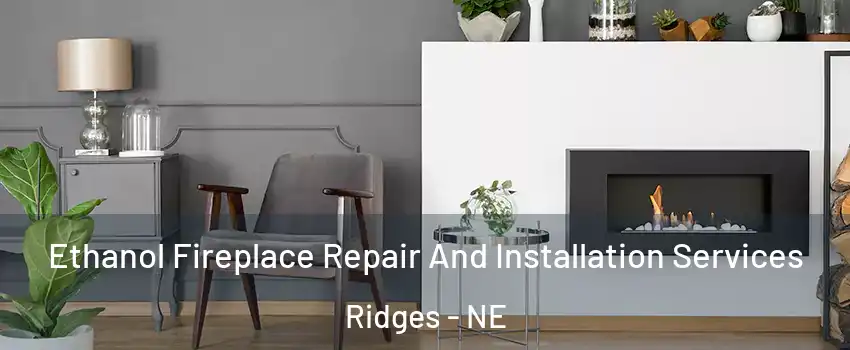 Ethanol Fireplace Repair And Installation Services Ridges - NE