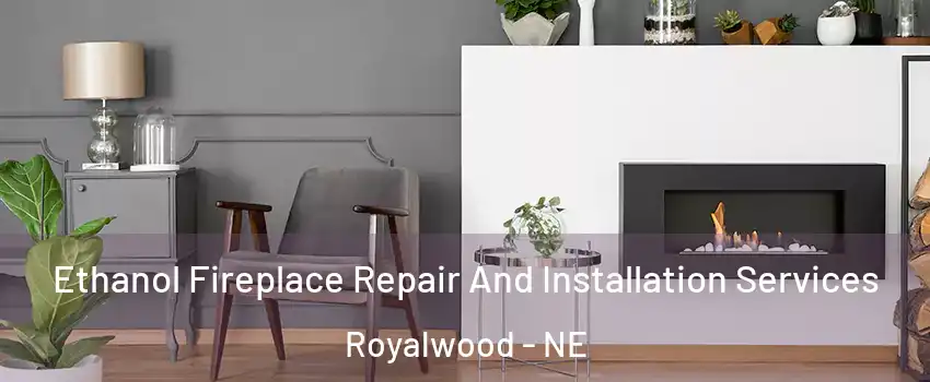 Ethanol Fireplace Repair And Installation Services Royalwood - NE