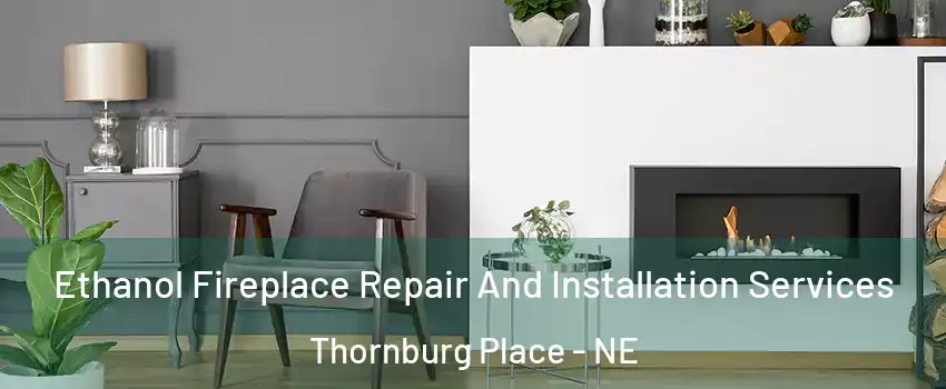 Ethanol Fireplace Repair And Installation Services Thornburg Place - NE