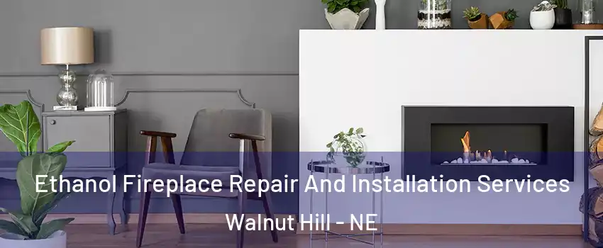 Ethanol Fireplace Repair And Installation Services Walnut Hill - NE