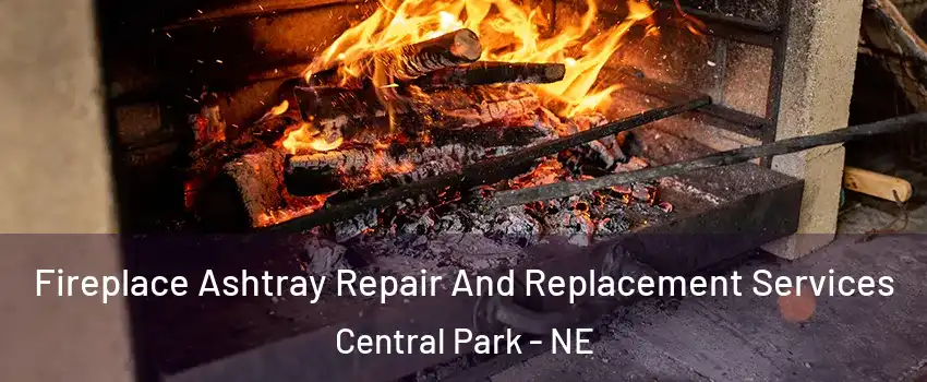 Fireplace Ashtray Repair And Replacement Services Central Park - NE